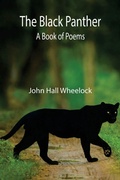 Cover: The Black Panther - ALPHA EDITION