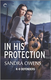 Enlarge image Cover: In His Protection - Carina Press