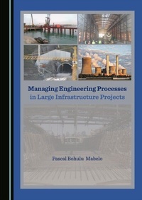 Abbildung von: Managing Engineering Processes in Large Infrastructure Projects - Cambridge Scholars Publishing