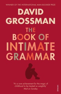 Enlarge image Cover: The Book Of Intimate Grammar - Vintage