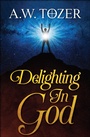 Cover: Delighting in God - DIGITAL FIRE