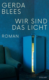 Enlarge image Cover: Wir sind das Licht - Zsolnay