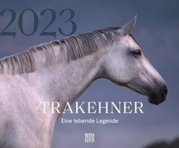 Abbildung von: Trakehner 2023 - Benevento