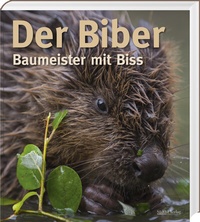 Abbildung von: Der Biber - SüdOst