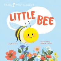 Enlarge image Cover: Little Bee - Words & Pictures