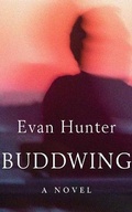 Cover: Buddwing - Audible Studios on Brilliance