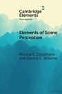 Cover: Elements of Scene Perception - Cambridge University Press