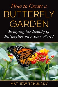 Abbildung von: How to Create a Butterfly Garden - Skyhorse Publishing