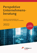 Cover: Perspektive Unternehmensberatung 2022 - e-fellows.net