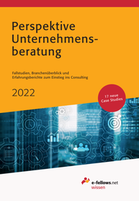 Abbildung von: Perspektive Unternehmensberatung 2022 - e-fellows.net