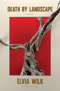 Enlarge image Cover: Death by Landscape - Soft Skull