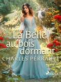 Cover: La Belle au Bois Dormant - Saga Egmont