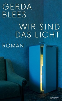 Enlarge image Cover: Wir sind das Licht - Zsolnay
