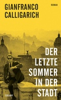 Cover: Der letzte Sommer in der Stadt - Zsolnay