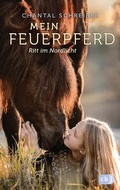 Cover: Mein Feuerpferd - Ritt im Nordlicht - cbj