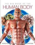 Cover: The Big Book of the Human body - Sona Books