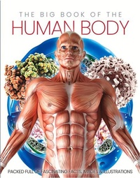 Enlarge image Cover: The Big Book of the Human body - Sona Books