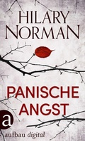 Cover: Panische Angst - Aufbau
