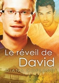 Cover: Le r&eacute;veil de David - Dreamspinner Press