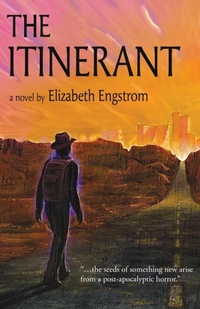 Enlarge image Cover: The Itinerant - IFD Publishing