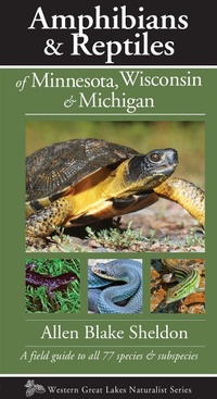 Abbildung von: Amphibians & Reptiles of Minnesota, Wisconsin & Michigan - Kollath-Stensaas Publishers