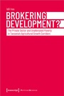 Cover: Brokering Development? - transcript