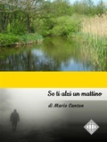 Cover: Se ti alzi un mattino - Mario Canton