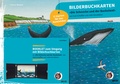 Cover: Bilderbuchkarten &raquo;Die Schnecke und der Buckelwal&laquo; von Axel Scheffler und Julia Donaldson - Beltz Verlagsgruppe GmbH & Co. KG