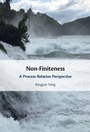 Cover: Non-Finiteness - Cambridge University Press