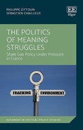 Cover: The Politics of Meaning Struggles - Edward Elgar Publishing