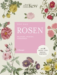 Abbildung von: Rosen - Haupt Verlag