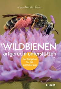 Abbildung von: Wildbienen artgerecht unterstützen - Haupt Verlag