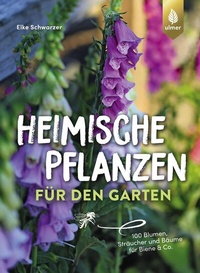 Abbildung von: Heimische Pflanzen für den Garten - Verlag Eugen Ulmer