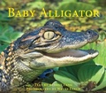 Cover: Baby Alligator - Fitzhenry & Whiteside