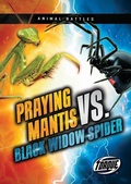 Cover: Praying Mantis vs. Black Widow Spider - Torque