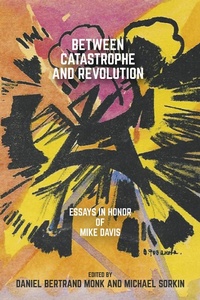 Enlarge image Cover: Between Catastrophe and Revolution - OR Books