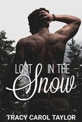 Cover: Lost in the Snow - Prince of Pages, Inc.