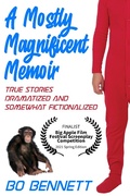 Cover: A Mostly Magnificent Memoir - eBookIt.com