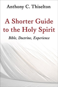 Enlarge image Cover: Shorter Guide to the Holy Spirit - Eerdmans