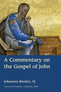 Cover: Commentary on the Gospel of John - Eerdmans