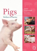 Cover: Pigs Welfare in Practice - 5M Books Ltd