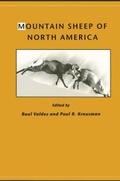 Cover: Mountain Sheep of North America - University of Arizona Press