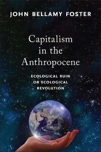 Enlarge image Cover: Capitalism in the Anthropocene - Monthly Review Press,U.S.