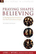 Cover: Praying Shapes Believing - Seabury Books