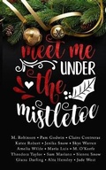Cover: Meet Me Under the Mistletoe - Dangerous Press LLC