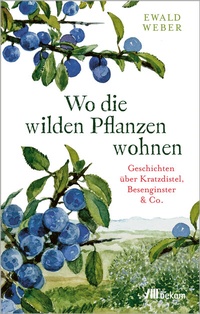 Abbildung von: Wo die wilden Pflanzen wohnen - oekom verlag