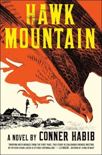 Abbildung von: Hawk Mountain - W. W. Norton & Company