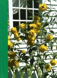 Abbildung von: Window Breeze Book of Days - Mystic Seaport Museum