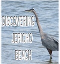 Cover: Discovering Jericho Beach - Rowena Kong