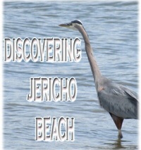 Abbildung von: Discovering Jericho Beach - Rowena Kong